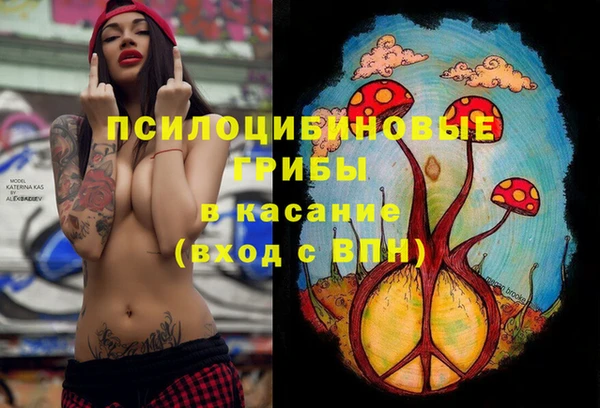 apvp Алзамай